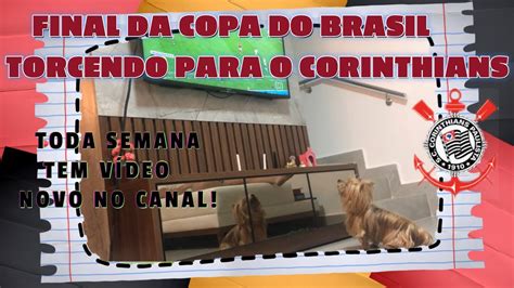 Animais Engra Ados Tetella Final Da Copa Do Brasil Torcendo Para O