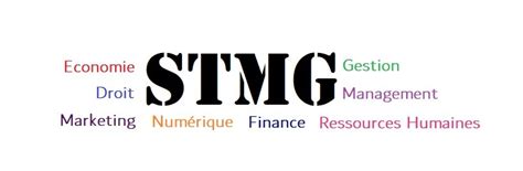 Tout savoir sur le bac STMG présentation et témoignages Professeur