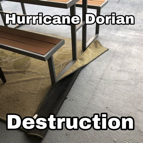 The vicious impact of the storm on Central Florida!!! : r/funny