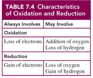 Gen Chem Exam Notes Chapter Flashcards Quizlet