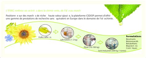 L ITERG Renforce Ses Activit Es Dans La Chimie Verte De L Id Ee Au