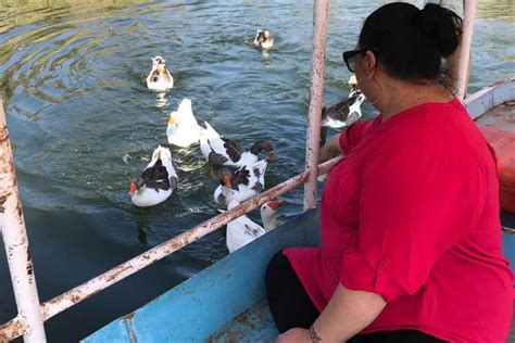 Africano Park Alexandria Safari From Cairo Book Egypt Cheap Tours