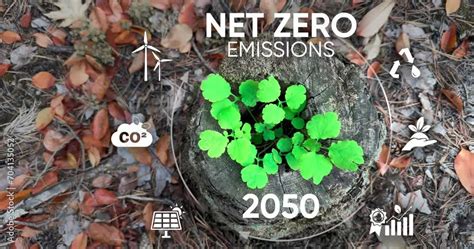 Net Zero Emissions And Carbon Neutral Concept Net Zero Greenhouse