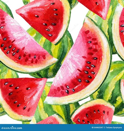 Watercolor Painting With Watermelon Stock Illustration Illustration