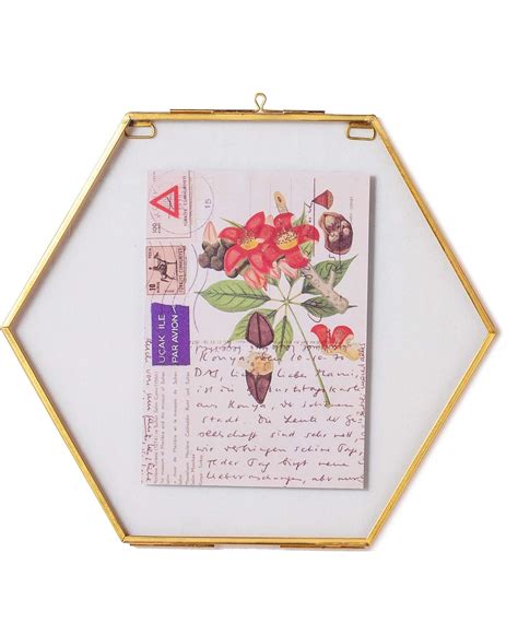 NCYP Small Hanging Hexagon Herbarium Brass Glass Frame For Pressed