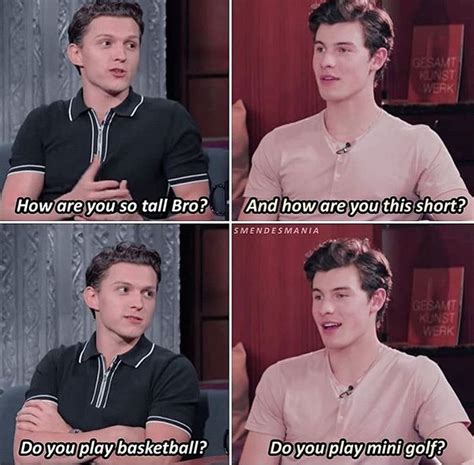 Tom Holland And Shawn Mendes Shawn Mendes Funny Funny Marvel Memes