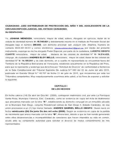 Solicitud De Divorcio Pdf Divorcio Instituciones Sociales