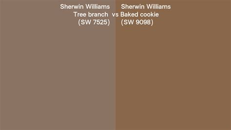 Sherwin Williams Tree Branch Vs Baked Cookie Side By Side Comparison