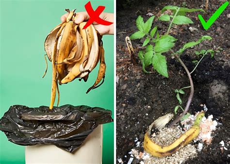 Cunning Garden Hacks Every Gardener Should Know