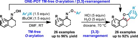 Scalable Transition‐metal‐free Direct Oxime O‐arylation Rapid Access