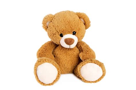 Teddy Bear Stock Photos Pictures And Royalty Free Images Istock