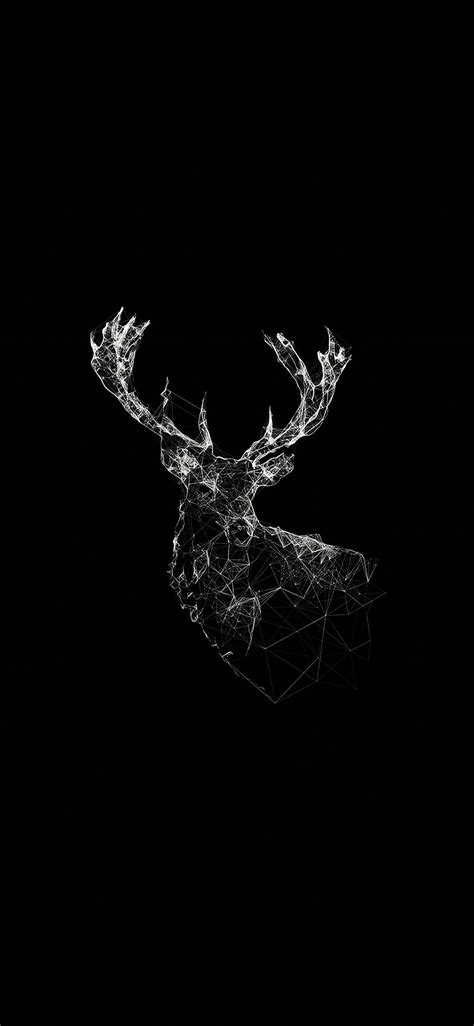 Dark Animal Wallpapers 4k Hd Dark Animal Backgrounds On Wallpaperbat