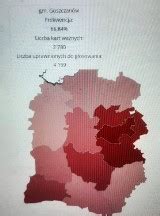 Wybory 2023 zakończone Jaka frekwencja w Sieradzu Błaszkach Warcie