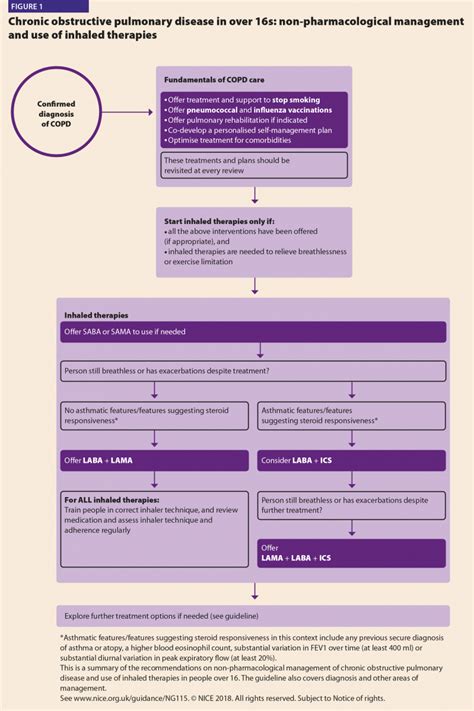 Copd Overview Of Updated Nice Guidance Hospital Healthcare Europe