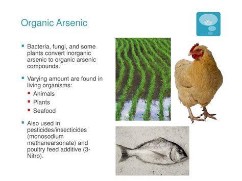 Ppt Arsenic Powerpoint Presentation Free Download Id1588057