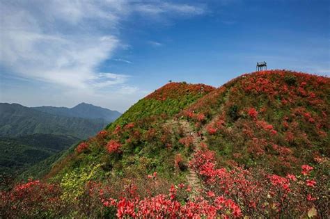 阳明山_搜狗百科