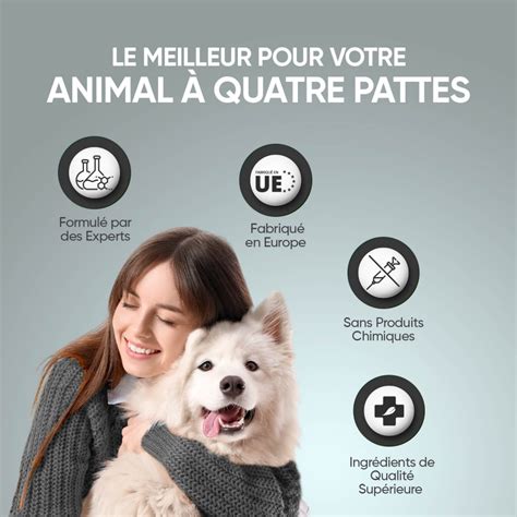 Probiotiques Digestion Confort Intestinal Du Chien