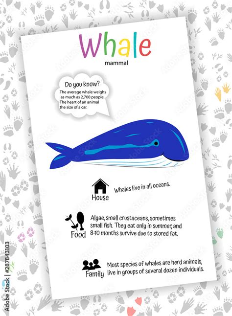 Blue Whale Pictures Facts