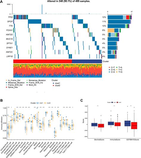 Frontiers Identification Of Molecular Subtypes And A Prognostic Signature Based On Chromatin