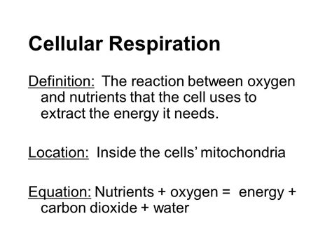 Easy Explanation Of Cellular Respiration