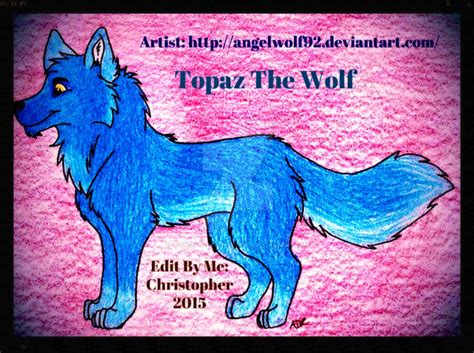 My Oc Topaz The Wolf In Studio Frame By Homeofbluandshadows On Deviantart