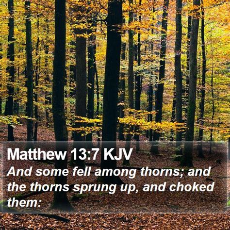 Matthew 13 7 KJV And Some Fell Among Thorns And The Thorns Sprung