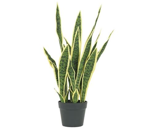 Sansevieria Artificiel En Pot Cm Plante Artificielle Et Mini Serre But