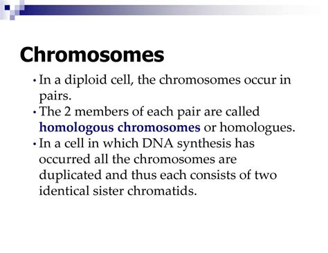 Cell Growth And Division Biology Pearland Isd Ppt Download