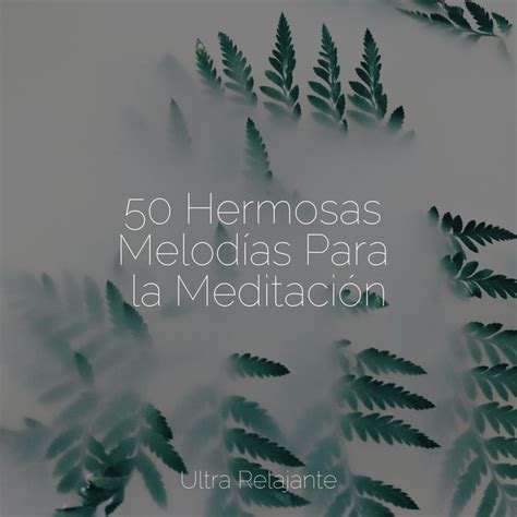 50 Hermosas Melodías Para la Meditación Album by Meditação Yoga