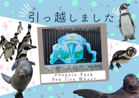 【大阪市】天王寺動物園に新施設「ペンギンパーク＆アシカワーフ」がオープンします 山崎としひこ（ヤマザキトシヒコ） ｜ 選挙ドットコム