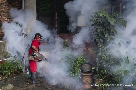 Inilah Cara Mencegah Demam Berdarah Gejala Dan Penyebabnya Page All