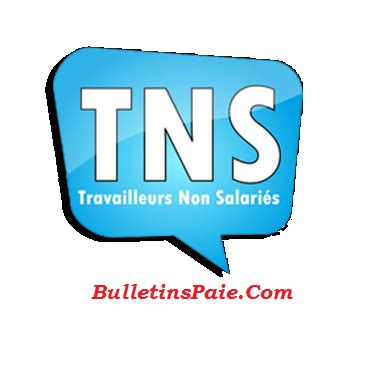 TRAVAILLEURS NON SALARIES TNS Assiettes Et Taux De Cotisations