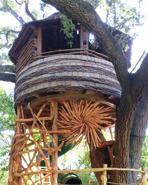 Sa Treehouse Creator Shares His Work With The Master