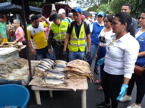 Inici La Veda De Bagre Rayado En Barrancabermeja Digame Co