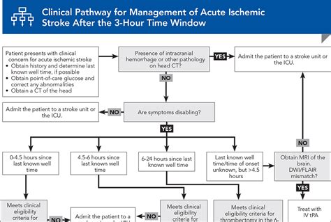 Aha Ischemic Stroke Guidelines 2024 Jane Roanna