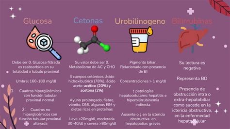 Interpretaci N Parcial De Orina Pediatr A Ppt Descarga Gratuita