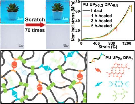 Healable Recyclable And Scratch Resistant Polyurethane Elastomers