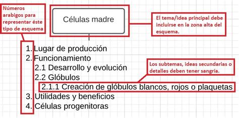 Cómo Hacer Un Esquema Consejos Y Tipos Con Ejemplos