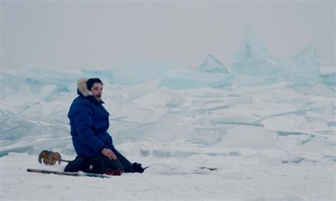 Dans Les Forêts De Sibérie Adaptation Du Livre Sylvain Tesson