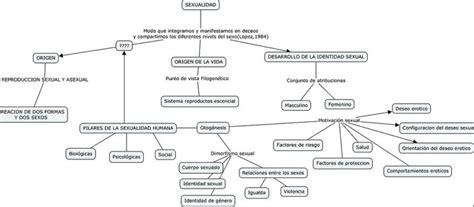 Mapa Conceptual De La Sexualidad ¡guía Paso A Paso