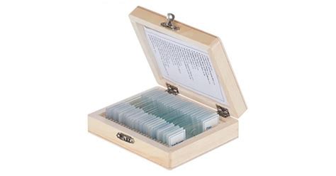 Amscope Ps25w Prepared Microscope Slide Set For Basic Biological