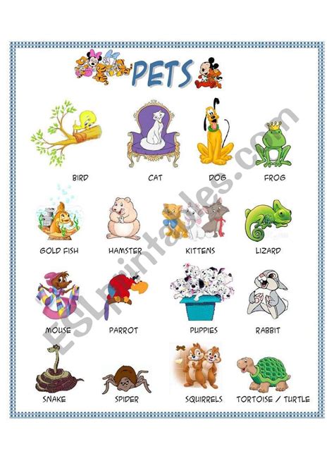 Pets Esl Worksheet By Sílvia73