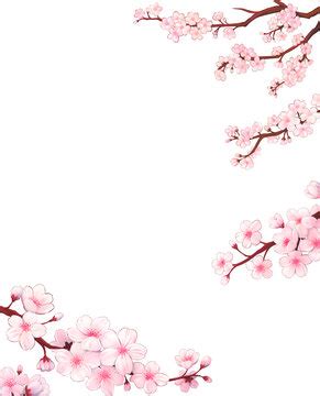 Cherry Blossom Border Design