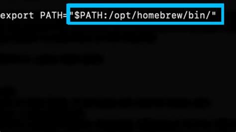 Fixes Zsh Command Not Found Error On Mac