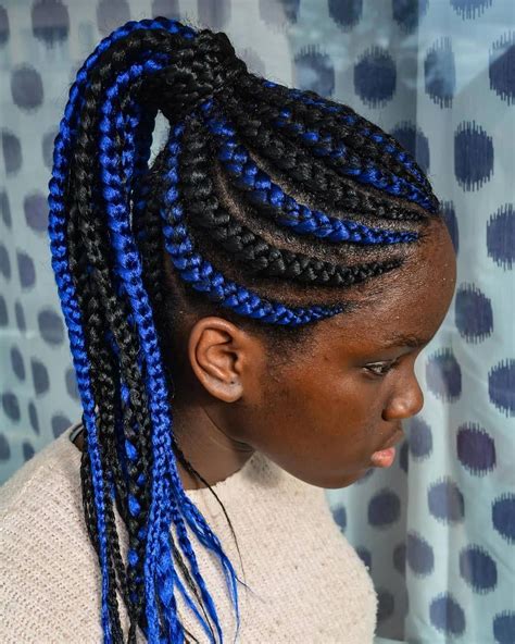 Photo Of Blue Sunset Skinny Braided Hairstyles