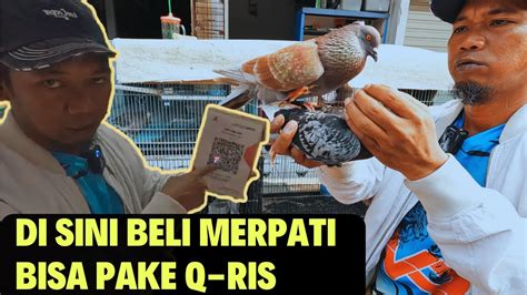 Grebeg Pedagang Merpati Di Pasar Cipinang Kebembem Jakarta Timur Kios