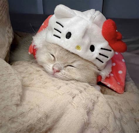 Hello Kitty Wearing Hat