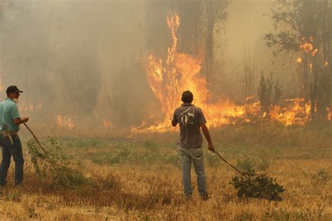 Senapred Informa De Hect Reas Arrasadas Por El Fuego En Uble