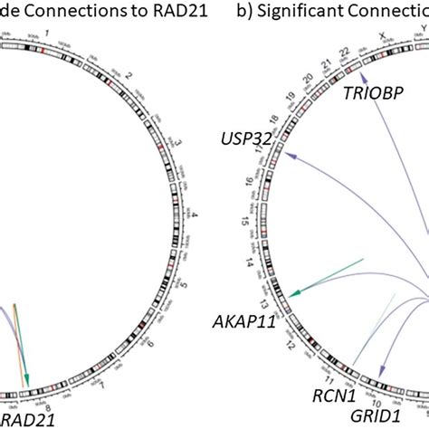 Circos Plots Showing The Interactions And Locations Of The Genes Found