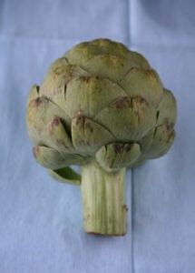 Artichoke Varieties | Saveur